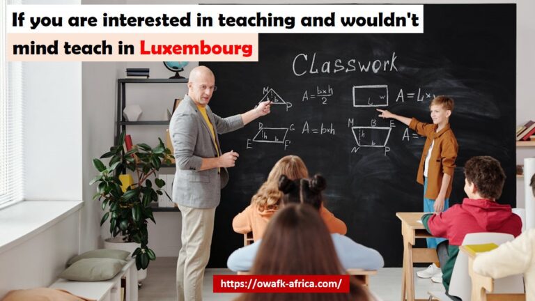 Is There a Demand for English Teachers in Luxembourg?