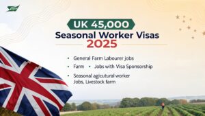 Read more about the article UK  Government announces 45,000 Seasonal Worker visas for 2025