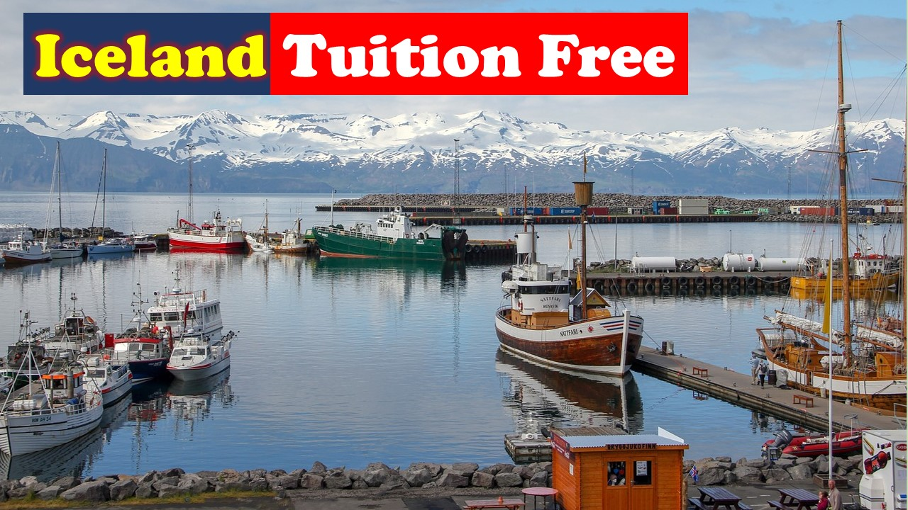 You are currently viewing Study in Iceland Tuition-Free Universities, Open Admissions & Work Permit 2026