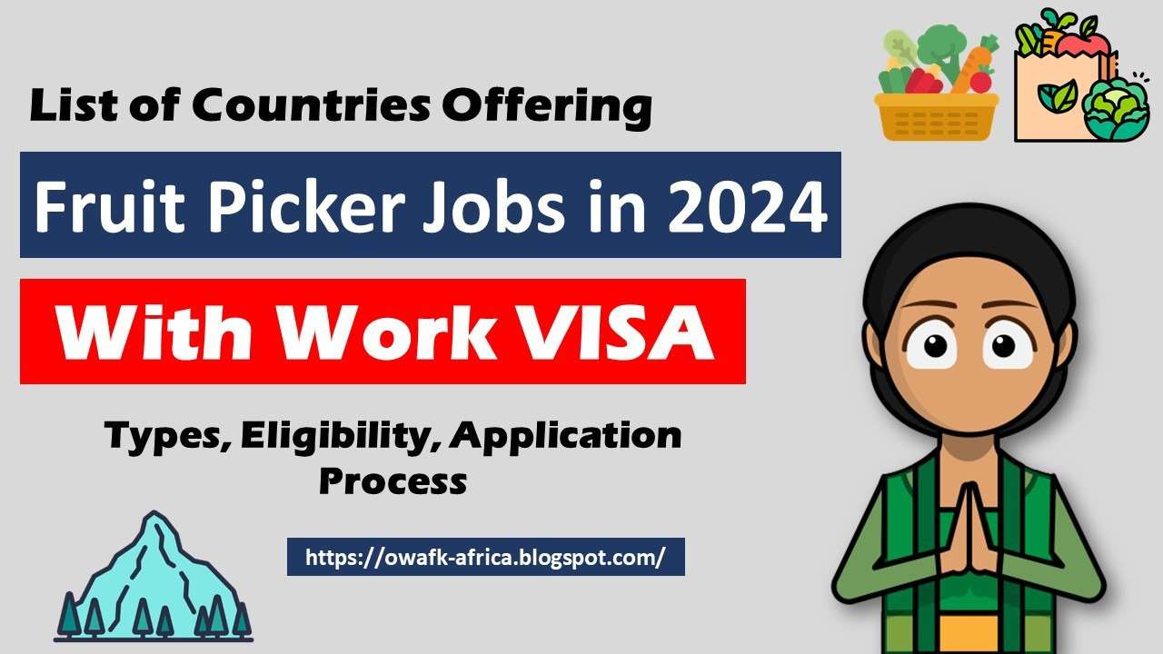 You are currently viewing Countries Offering Fruit Picker Work Visas in 2025 – Full List & How to Apply