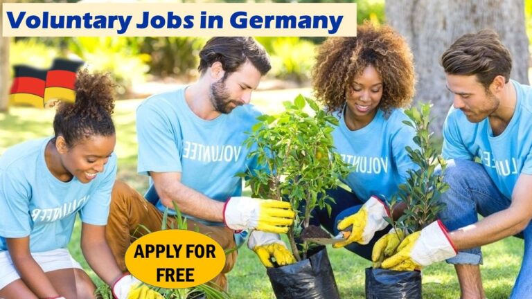 FÖJ & EFD Visa in Germany: Guide to Voluntary Jobs in Germany