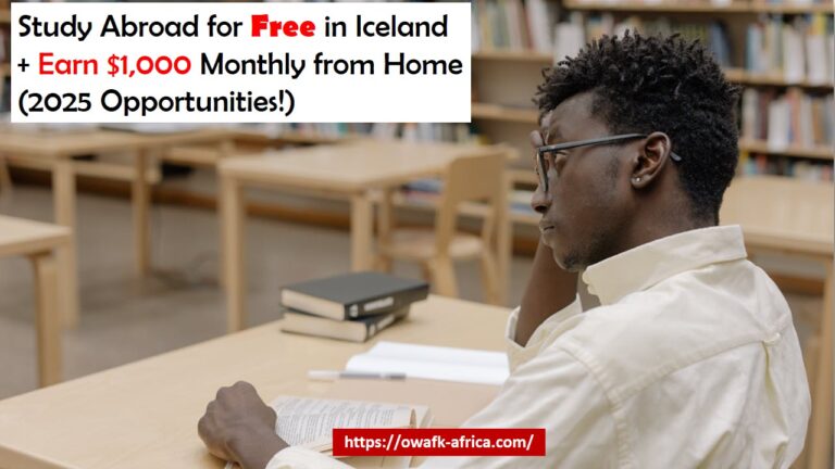 Study Abroad for Free in Iceland + Earn $1,000 Monthly from Home (2025 Opportunities!)