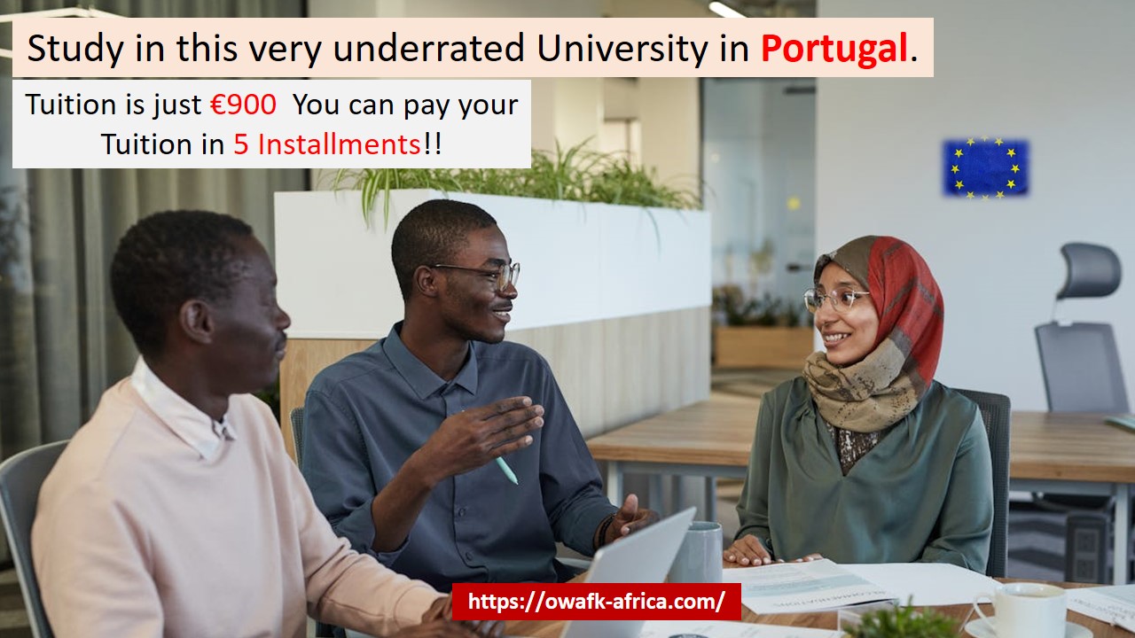 Read more about the article Study in Portugal for Just €900 a Year!