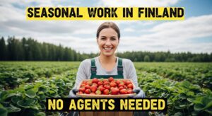 Read more about the article 🇫🇮 How to Secure Seasonal Agricultural Work in Finland Without Using Recruitment Agents (2026 Guide)