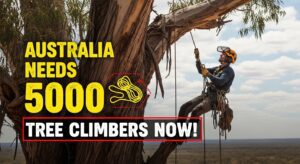 Read more about the article 🌳 Australia Tree Climber Jobs with Free Sponsorship Visa (2026 Guide)